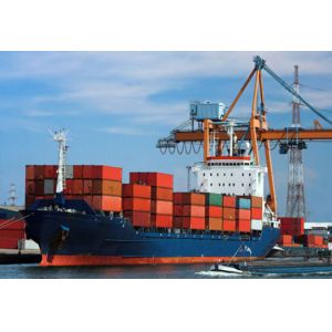 China China Professional Cargo Customs Clearance Agent In Shenzhen Shanghai on sale