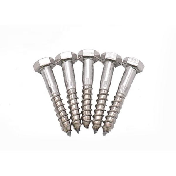 Customized Plain Stainless Steel Hexagon Head Self Tapping Screw 18-8 A2-70 A4