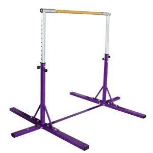 Gym Adjustable Horizontal Bar Gymnastics Training Sports Equipment W/Gym Mat