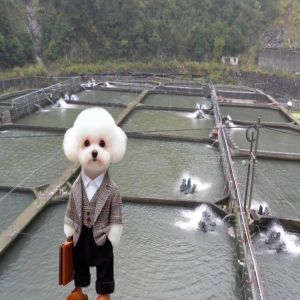 Direct Supply 0.3mm-1.5mm HDPE Geomembrane Liners for Industrial Customizable