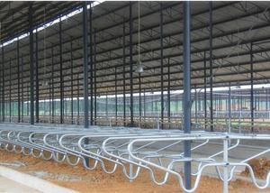 China Durable Customized Bedding Cow Milking Stall With Double Row Type on sale