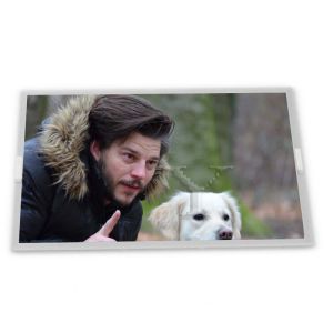 Cheap NL2432HC22-41B LCD Modules 3.5-Inch WLED LCD Display Module Custom ODM 240*320 Resolution for sale