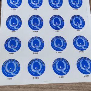 UV Resistant Custom Hologram Stickers For Long-lasting Durability