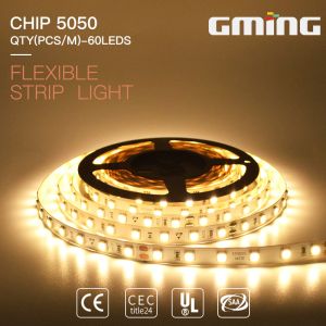 Changeable Color 48leds/m 310lm 11.5W Flexible RGB LED Strip