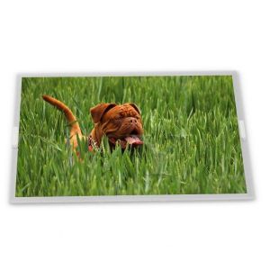 Cheap High Resolution 6.4-Inch LQ64D343 WLED LCD Display Module Specific Application Suitable LCD Modules with 640*480 resolution&quot; for sale