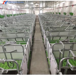 304 Stainless Steel Farrowing Crates , Farrowing Pens For Pigs