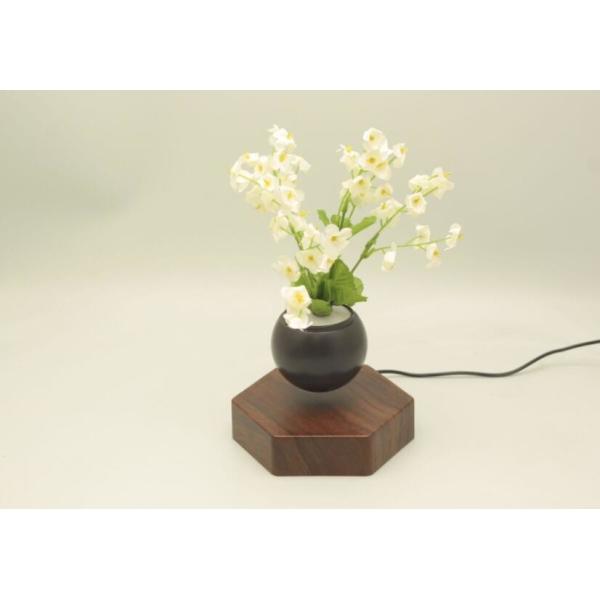 Quality Levitating Floating Flower Pot, Magnetic Levitating Air Bonsai, Home office Desktop Decor Ornament wholesale