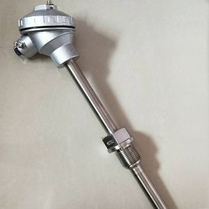 4-20mA Explosion-Proof Temperature Transmitter and Customized for Specific Needs