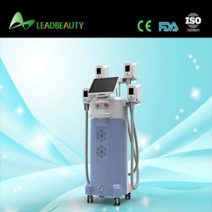 2015 multifunction lose weight 4 cryolipolysis heads 4 handls cryolipolysis