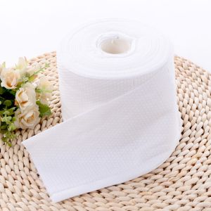 China Export Hot-sale Bag Non woven Disposable Cotton Face Towel Dry And Wet