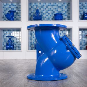 Cast Iron Y Type Water Filter PN10 DN50 Industrial Water Pipe Line Strainer