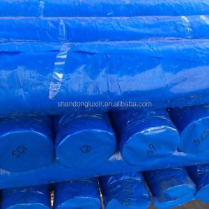 Lightweight HDPE Tarpaulin for Double Waterproof Max Plain Truck Storage Width