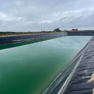 Tilapia Plastic Circular Fish Farming HDPE Geomembrane with Smooth Surface