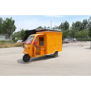 Foldable Handy Dragonfly Tricycle with Disc Brake and Performance