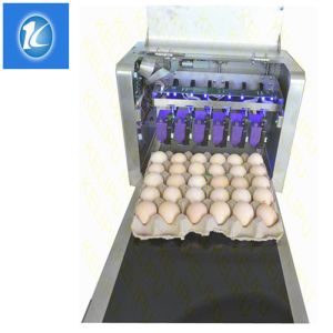 SGS Egg Stamping Equipment / Egg Printer Machine With 6 Head