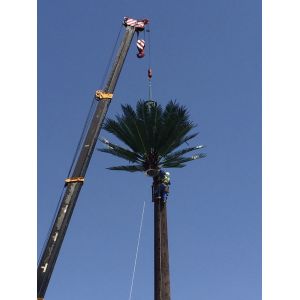 China 40m Grd Monopole Pine Tree Tower Camouflaged on sale