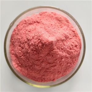 China Coniferous Cherry Extract/Acerola Cherry Extract on sale