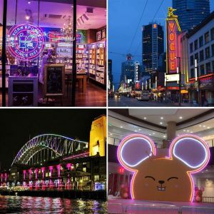 Flexible Led Neon Light Tube 12w/M Ip67 Addressable Scalable