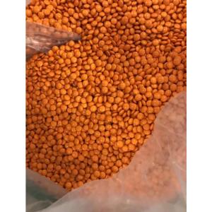 Fully Enclosed Stainless Steel Sugarcoating Tablet Film Coating Machine GMP