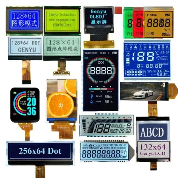 Oem Odm Monochrome 128x64 Graphic Cog Custom HTN STN Fstn Segment black Va Segment OLED IPS Color TFT Touch LCD Display Lcd