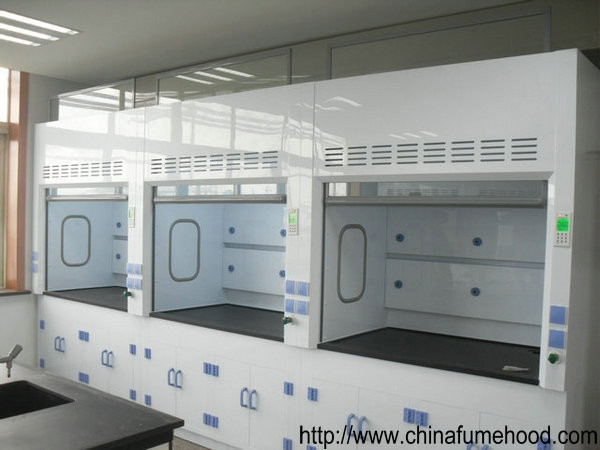 Quality Fiber Reinforced Laboratory Fume Cupboard Practical Multipurpose wholesale