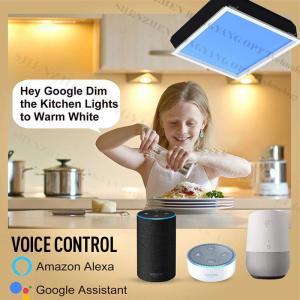 Square 600x600 LED Artificial Skylight 110V Tuya WIFI Voice Control