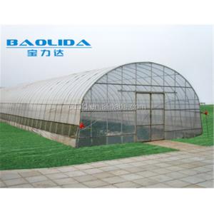 Cheap Baolida 8m x 12.5m Tunnel Greenhouse with 3.5m Height for Vegetables for sale