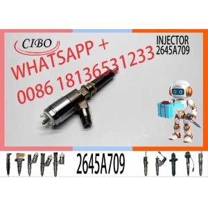 Diesel Engine Fuel Injector 282-0490 2645A709 10R-7673 10R-7676 2645A734 Engine