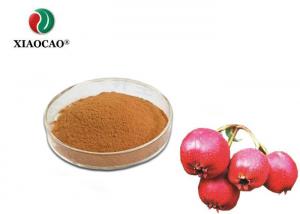 Cheap Natural Hawthorn Berry Extract , Hawthorne Solid Extract Enhancing Immunity for sale