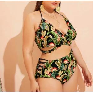 2019 New Plus SizeTwo piece Swimsuit Women Push up