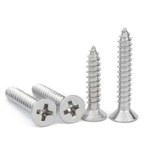 Self Tapping Phillips Drive Screw M1.7 M2 M2.5 M3 M4 Corrosion Proof Screws