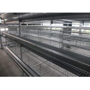China 160 Birds Layer Chicken Cage Automatic Controlling System Q235 Steel Wire Material on sale