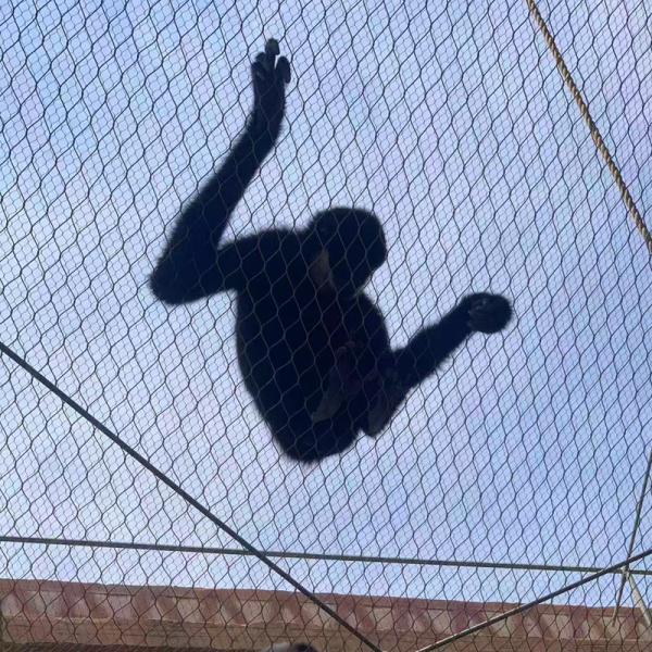 Stainless Steel Wire Rope Zoo Fencing Mesh Flexible Cable Netting For Bird