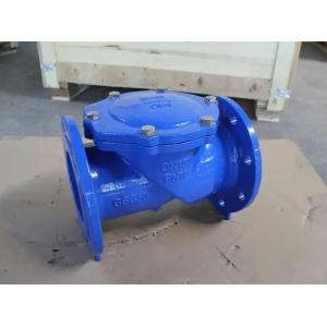 Support After-Sales Service Ductile Iron Flange Rubber Flap Check Valve DN50