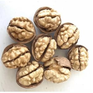 Low Price Wholesale High Quality Chinese Organic Walnut And Walnut kernel LAQ