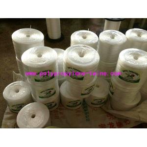 High Strength PP Twisted Film Greenhouse Tomato Tying Twine
