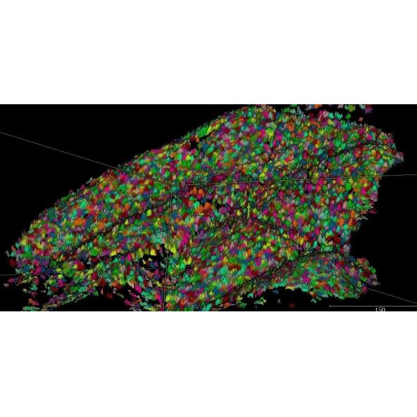 DJI M600 Pro 32 Channel HESAI Pandar Laser UAV LiDAR Scanning System GS-260X Forestry Strong Penetration Aerial Mapping