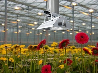 Quality 1000 Watt Indoor Garden Grow Lights With 6 - Phase Manual Dimming Function wholesale