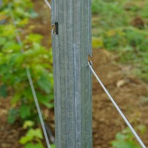 Power Coated Round / Square Metal Vineyard Trellis Posts Q195 / Q235Material