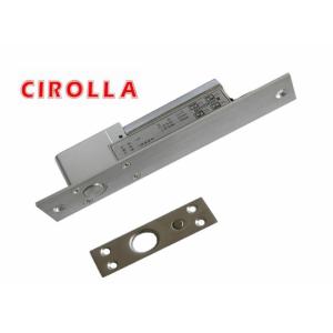 Electric Double Magnetic Door Lock for Auto Doors Sliding with Exquisite Design