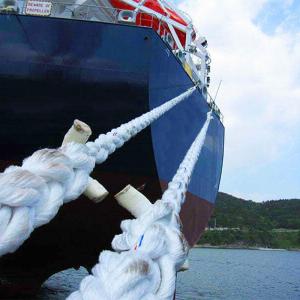12 Strand Braided Marine Mooring Rope Polyester Nylon PP Hawser for Packing &