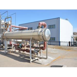 Tomato Mango SUS304 Fruit Processing Line 5T/H 15T/H Capacity