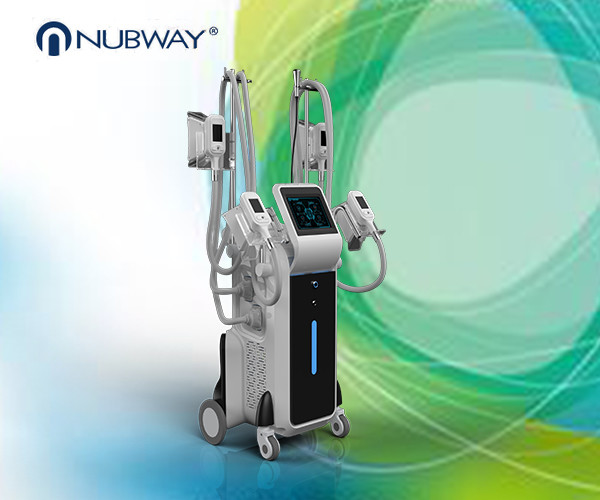 Quality 4 cryo handles cryolipolysis effective fat removal machine wholesale