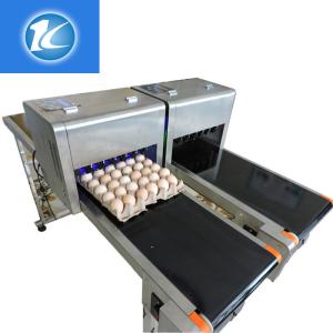 Egg Continuous Inkjet Printer Personalized Configuration Integrated Rack