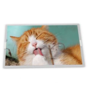 LMG7135PNFL 240*200 Resolution 3.5-Inch WLED LCD Display Module LCD Modules ODM