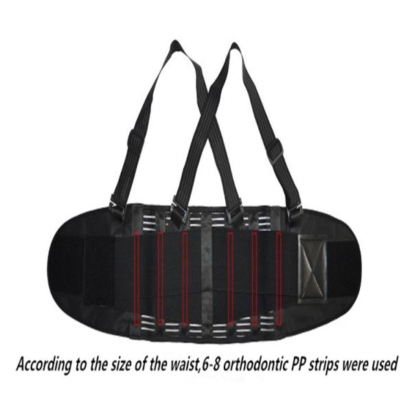 Men And Women Waist Back Support Belt With Double Elastic Orthodontic PP Strips