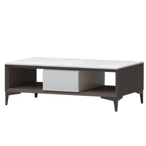 Modern Luxury Contemporary Wood Panel Support customization Coffee Tables