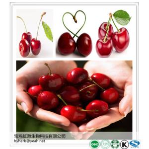 Cherry Extract powder