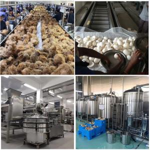 Cheap Stainless Steel Coconut Processing Machine Within CPA-CW For Coconut Milk for sale