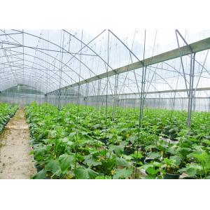 Multi-Span Agricultural Greenhouse for Hydroponic Tomato and Optimal Irrigation